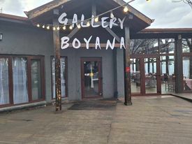 Gallery Boyana